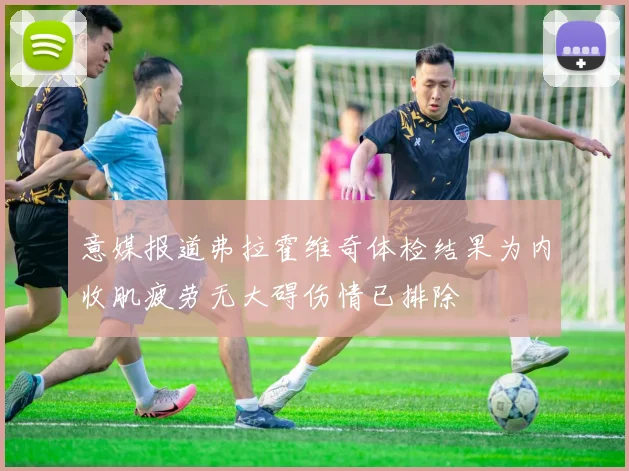 意媒报道弗拉霍维奇体检结果为内收肌疲劳无大碍伤情已排除