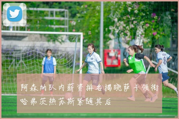 阿森纳队内薪资排名揭晓萨卡领衔哈弗茨热苏斯紧随其后
