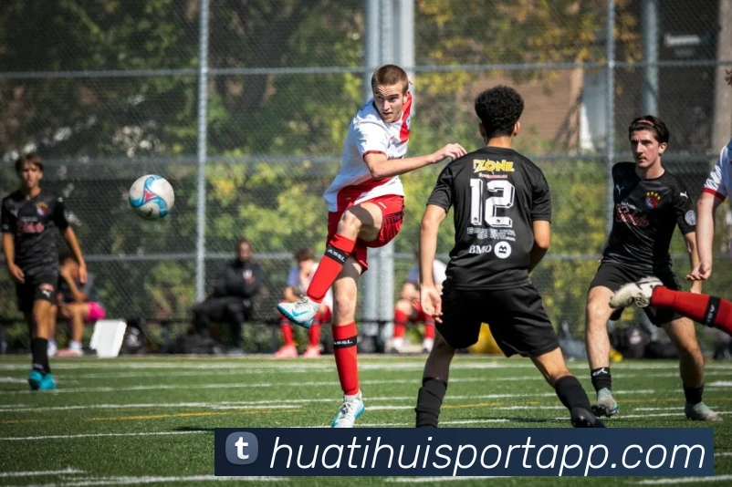 华体会体育APP 封面图